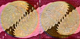 1881 Liberty Head U.S. 5 Dollar Gold Coin - Nice Condition! - Approx 8.35 Grams