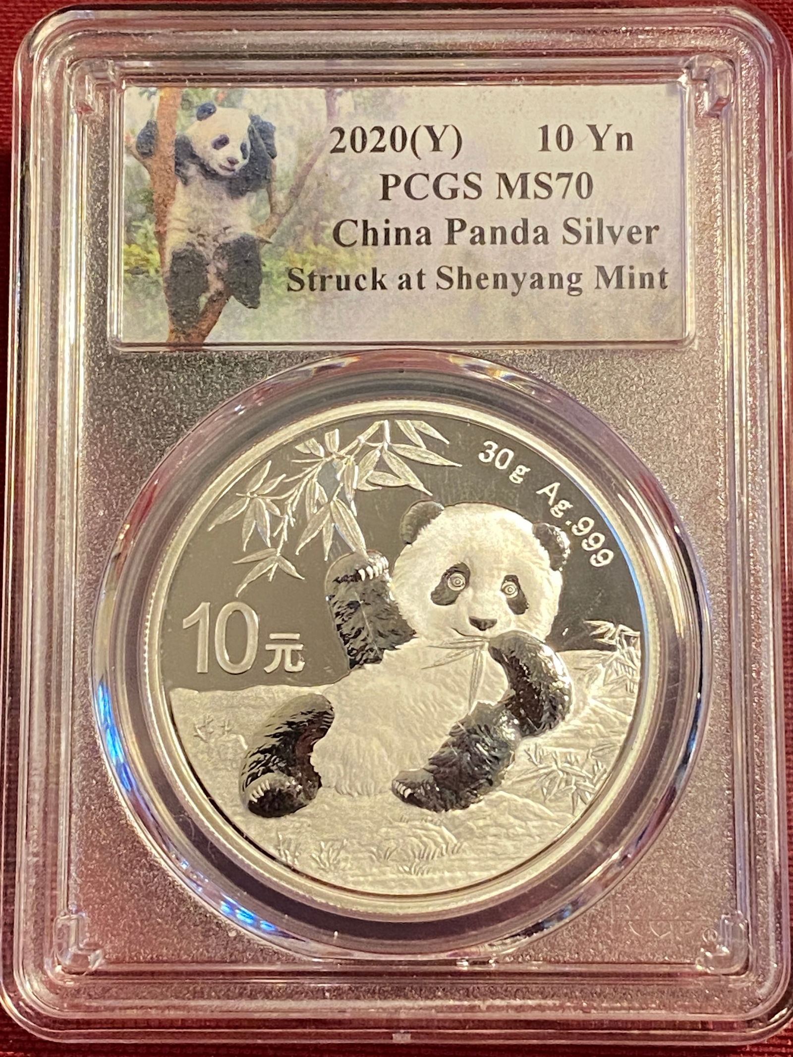 トランプ銀貨 2020年 PCGS MS70 2021年NGC MS70 2枚 2021 W $1 Burnished Silver Eagle Type 2 NGC MS70 First Day