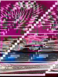 Sterling Silver Flatware & Serveware in Box - Approx 1383 Grams (About 33 Pieces) - Knives with Stai