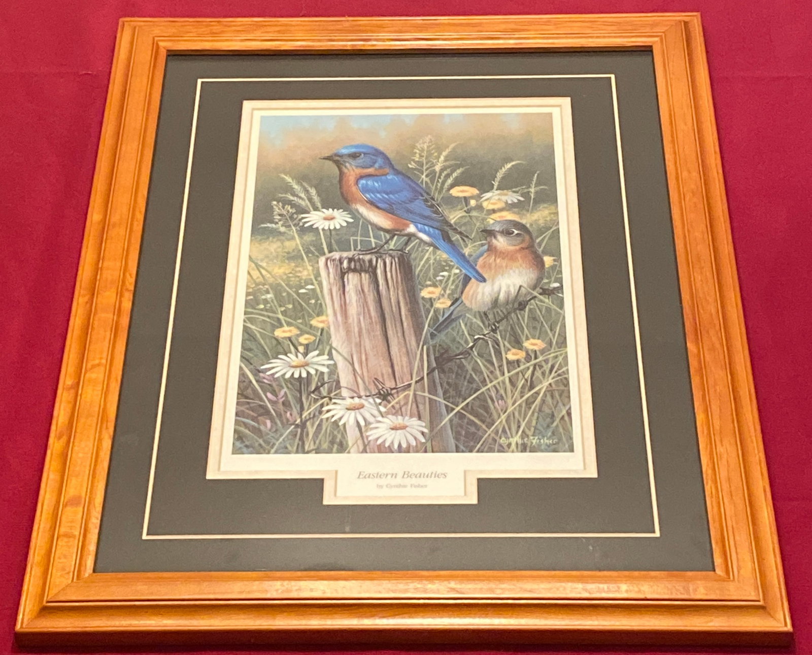 Cynthie Fisher 'Eastern Beauties' Framed Print - Approx 21"x17" Overall: Cynthie Fisher 'Eastern Beauties' Framed Print - Approx 21"x17" Overall