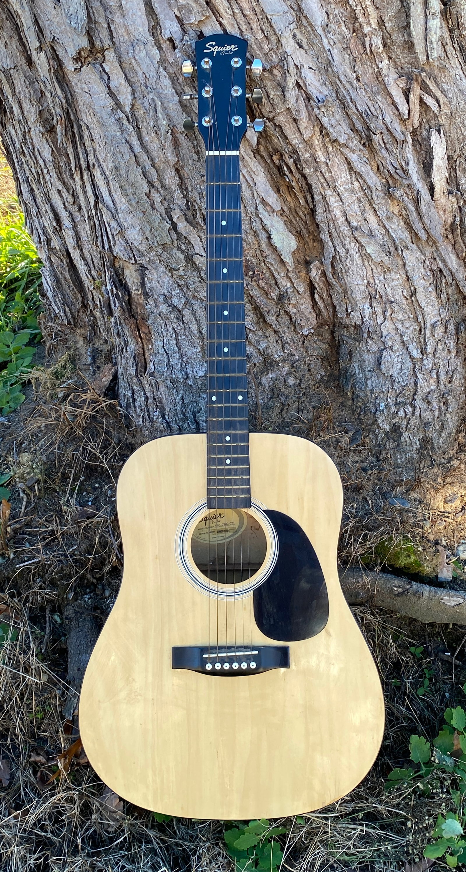 Fender Squier. Acoustic Guitar - Model 093-0300-02L (1 of 10)