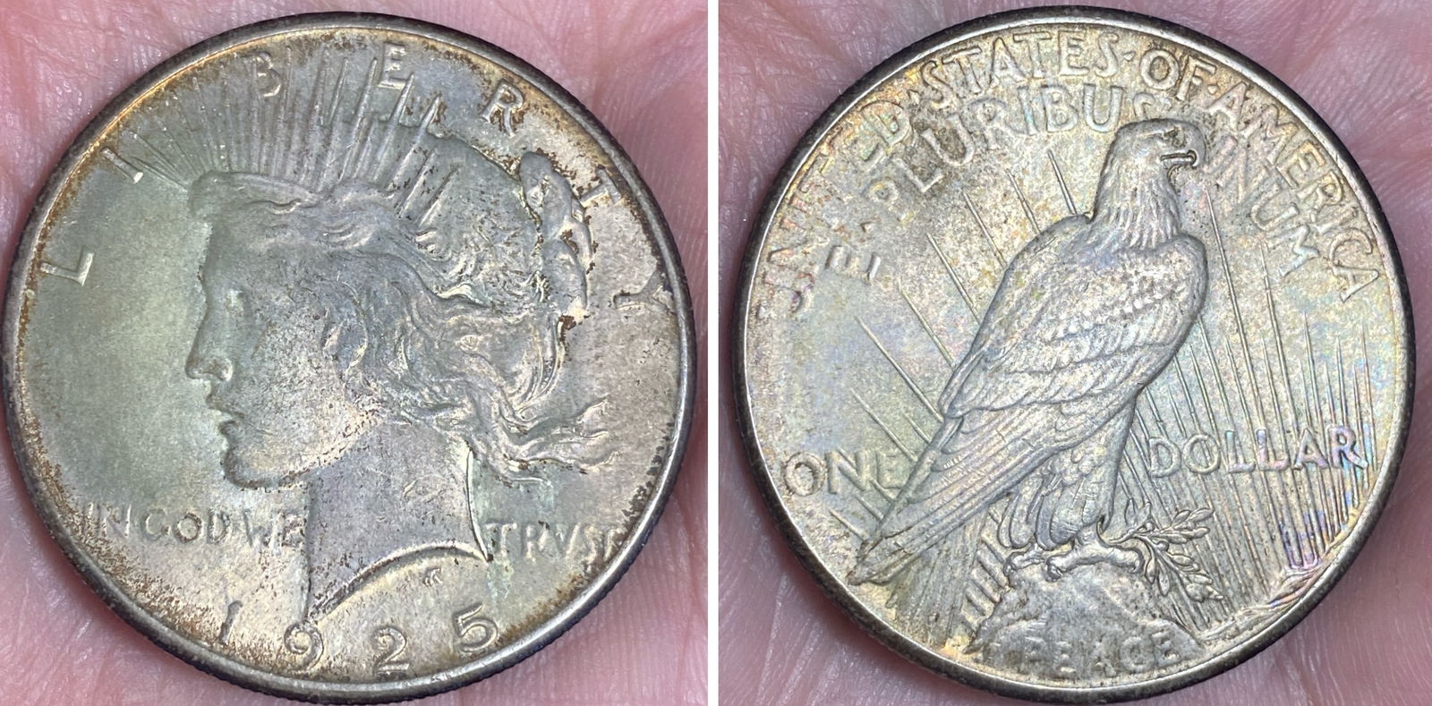 1925 Peace Silver Dollar: 1925 Peace Silver Dollar