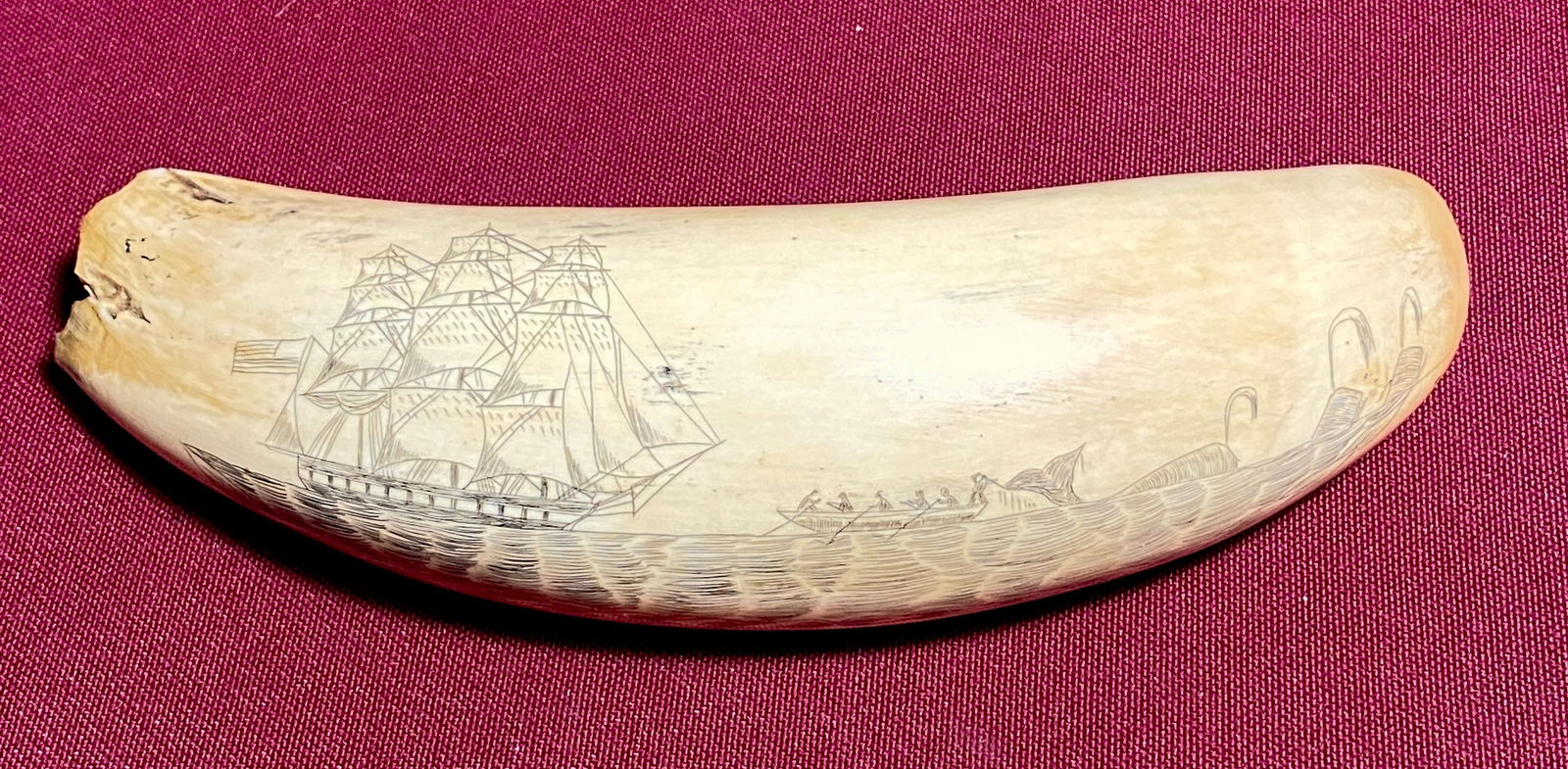Antique Whale Tooth Scrimshaw Whaling Boat Scene - Reading 'Whaling Off the Isles of Japan 1852' (1 of 10)
