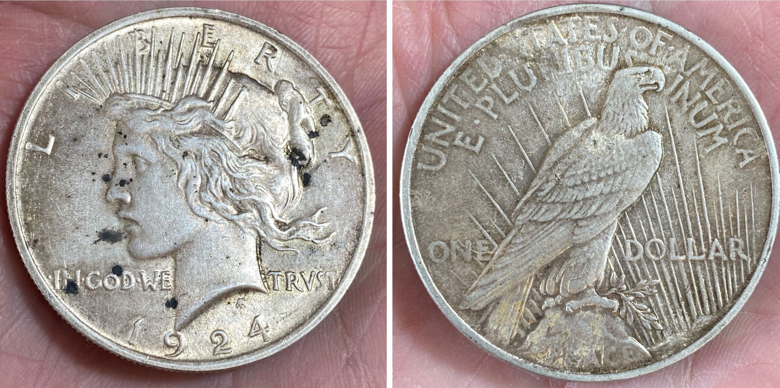 1924 Peace Silver Dollar (1 of 3)