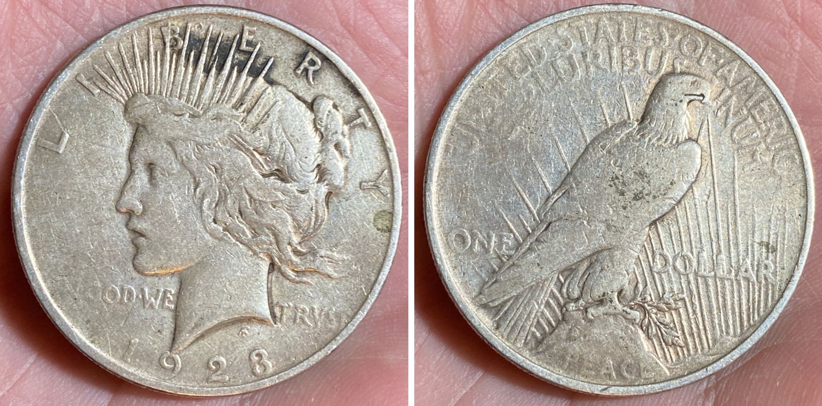 1923 Peace Silver Dollar: 1923 Peace Silver Dollar