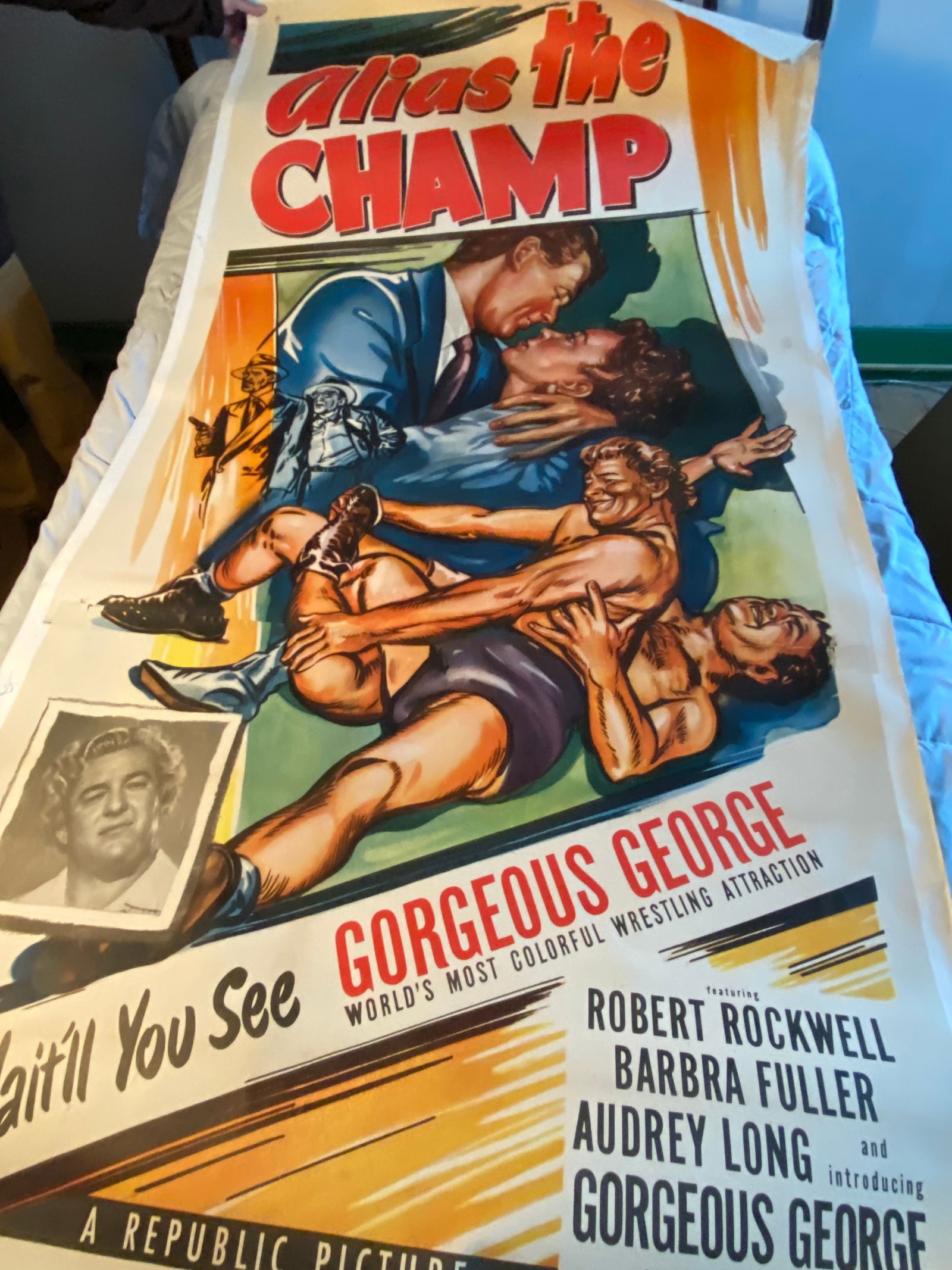 Alias the Champ Movie Poster - Approx 79.5"x42" (1 of 9)