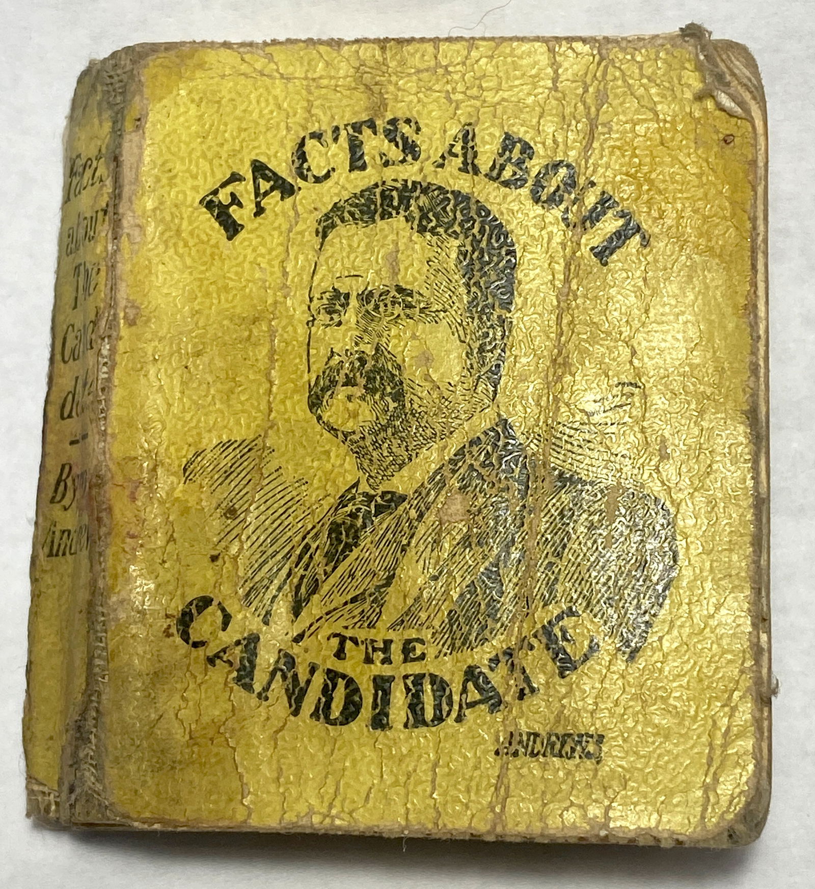 Miniature 1904 Facts About the Candidate Campaign Book - Teddy Roosevelt - By Byron Andrews -: Miniature 1904 Facts About the Candidate Campaign Book - Teddy Roosevelt - By Byron Andrews - Illustrated by A.J. Klapp