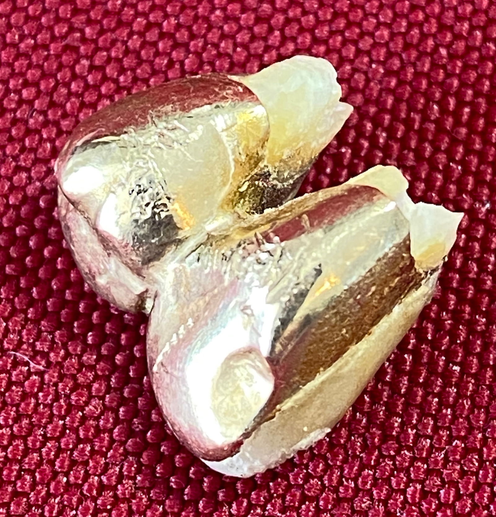Gold Teeth - Tested Over 18K - 5.40 Grams (Including Teeth Remains): Gold Teeth - Tested Over 18K - 5.40 Grams (Including Teeth Remains)