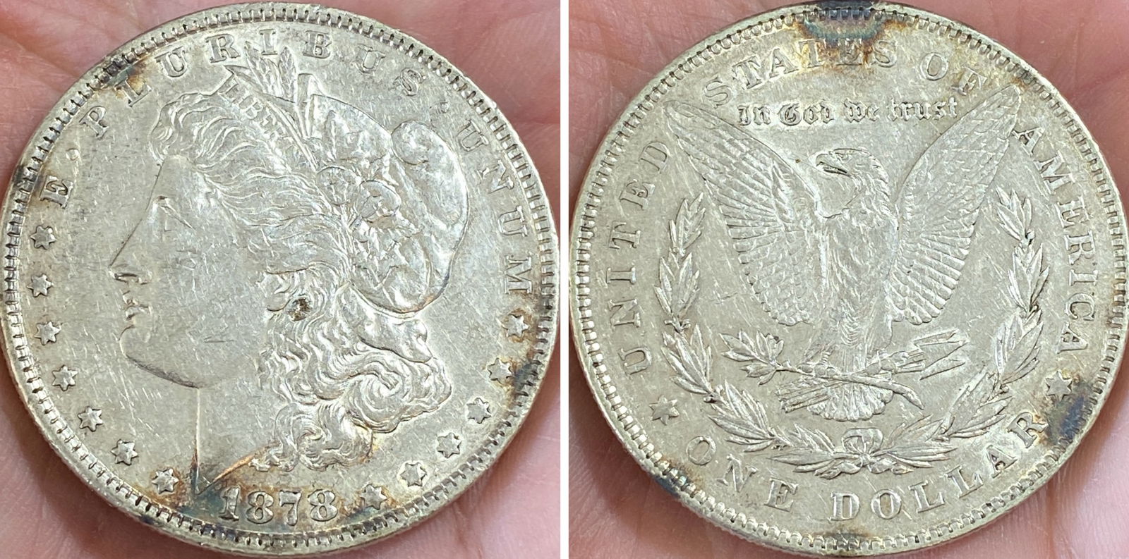 1878 Morgan Silver Dollar - 7 Tail Feathers (1 of 3)