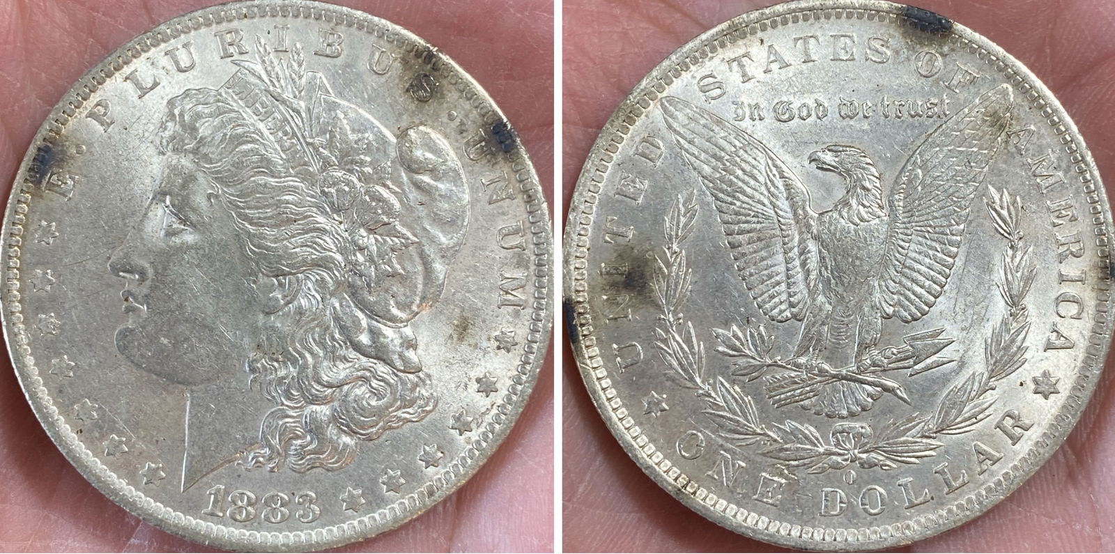 1883-O Morgan Silver Dollar (1 of 5)