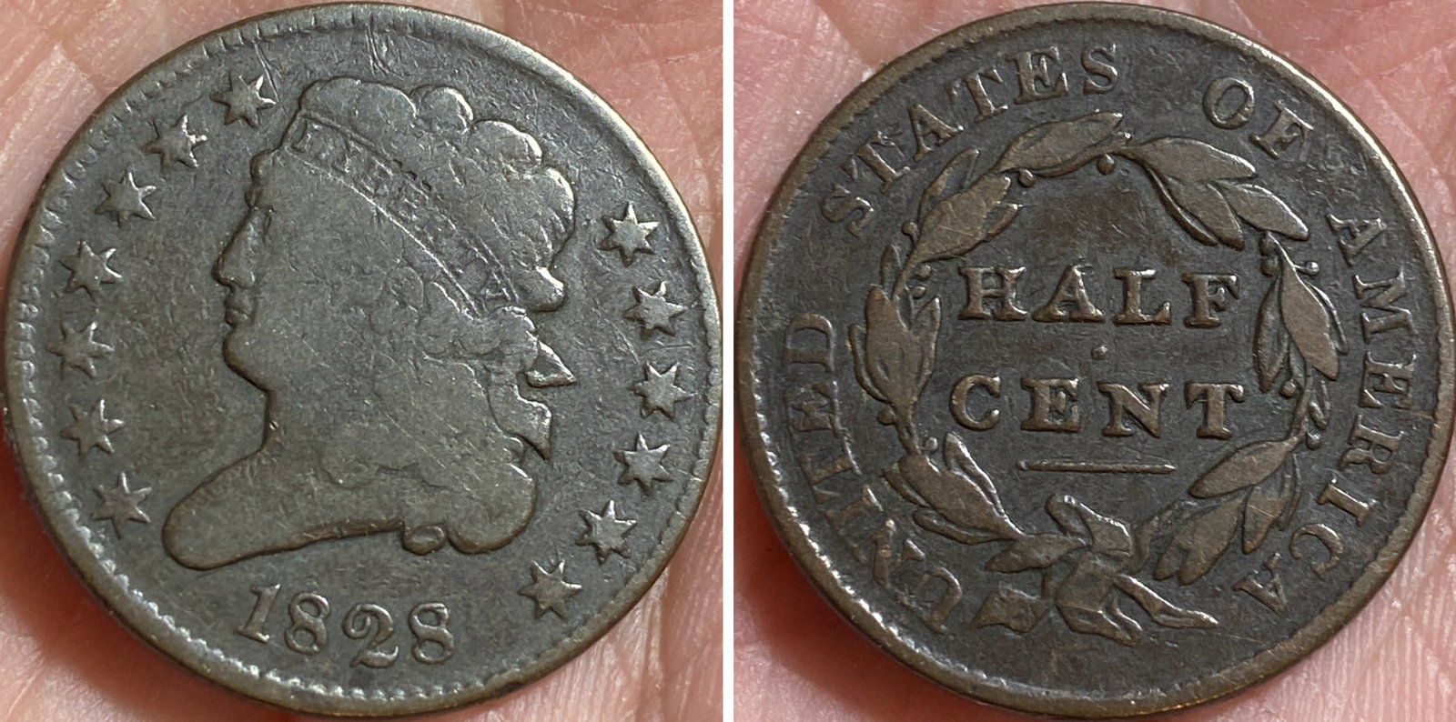 1828 Half Penny with 13 Stars Classic Head Half Cent: 1828 Half Penny with 13 Stars Classic Head Half Cent