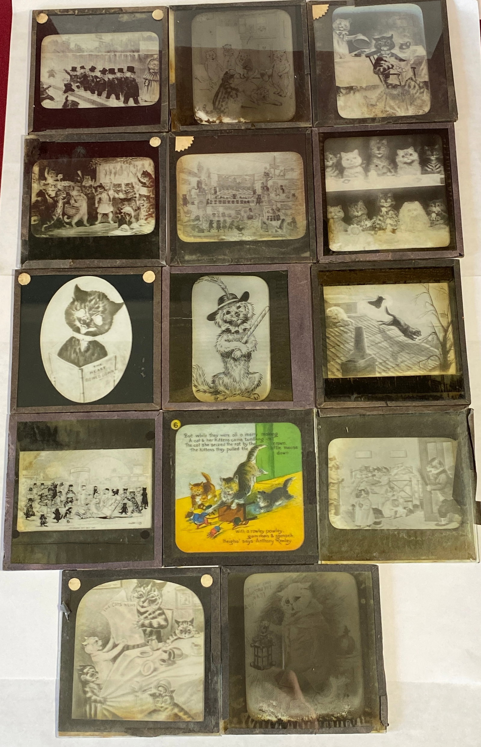 Fourteen Magic Lantern Cartoon Slides - Cat, Comedic Cat (1 of 7)
