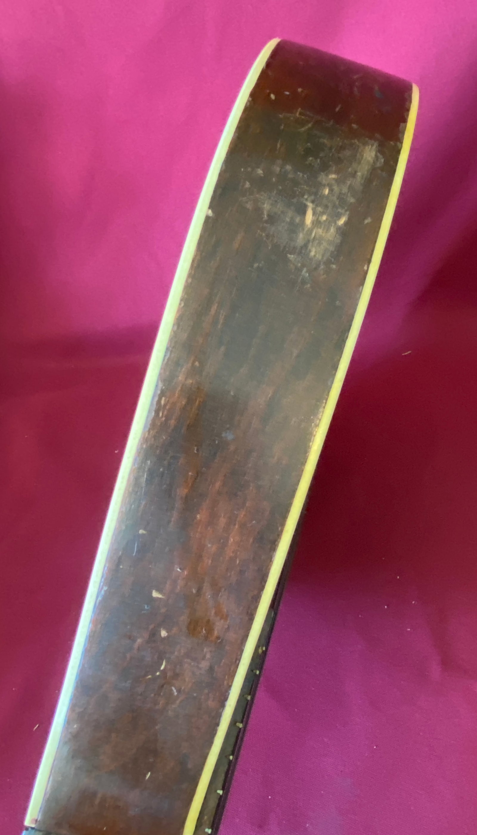 Vintage Mandolin - 4