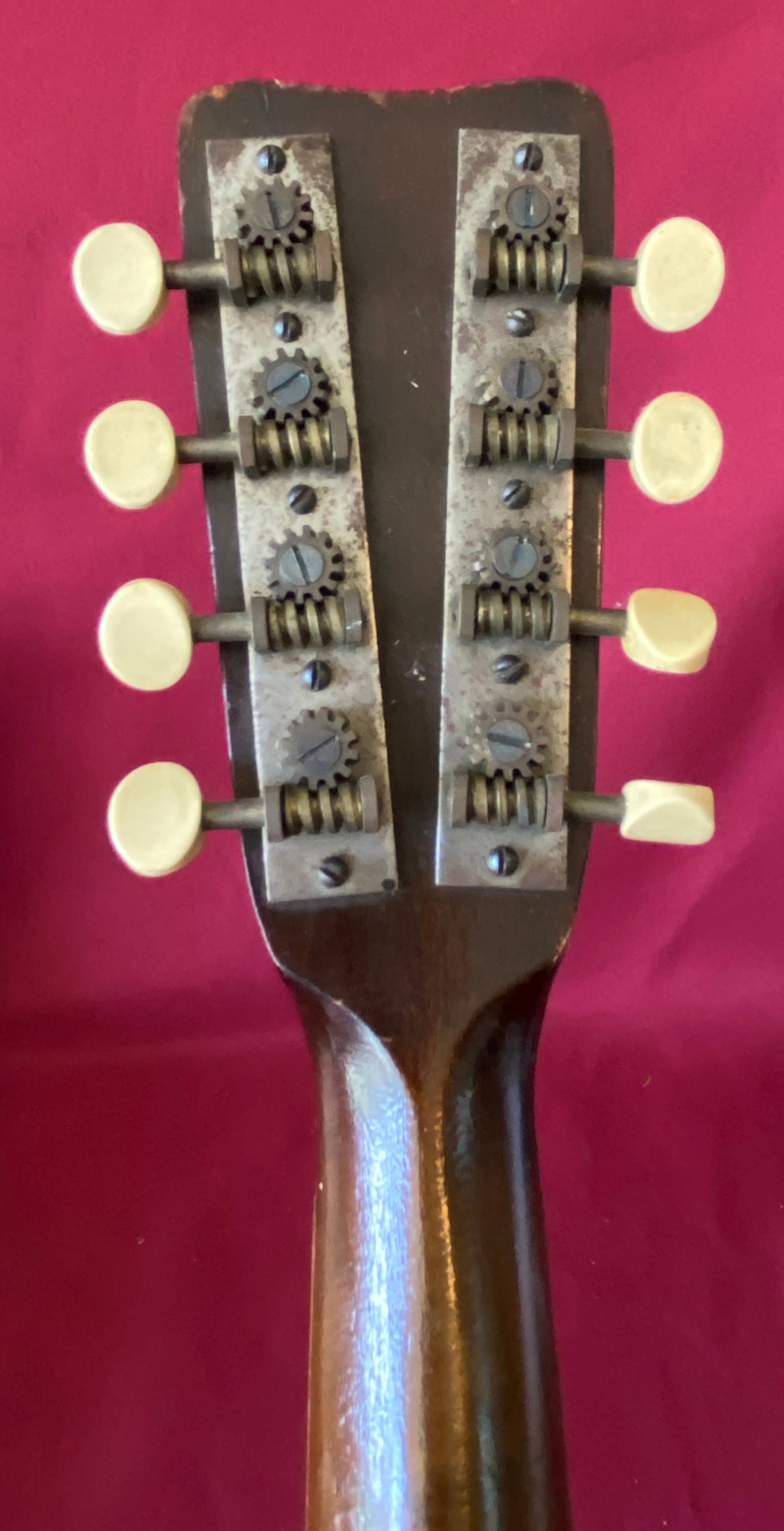 Vintage Mandolin - 5