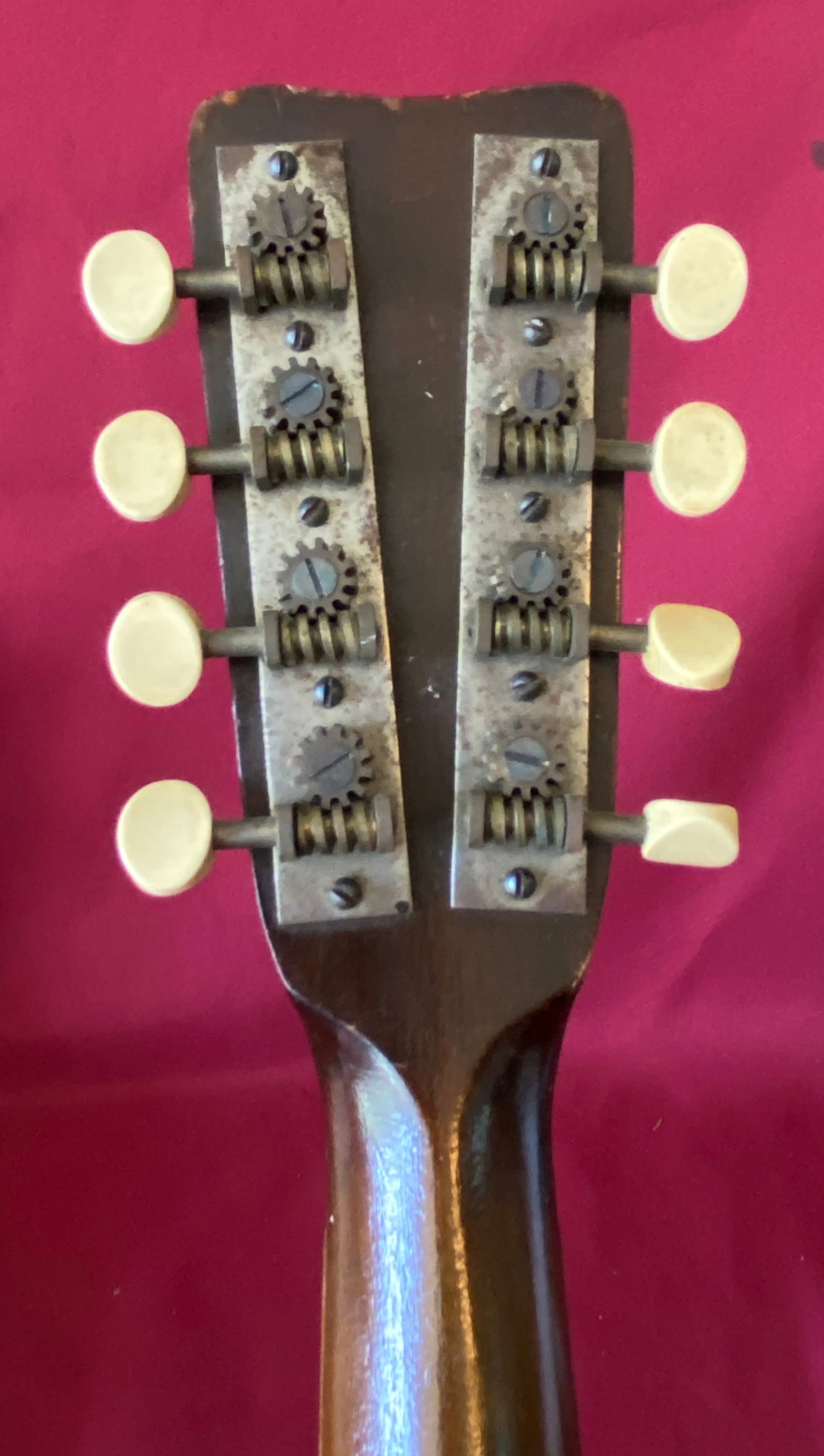 Vintage Mandolin - 6