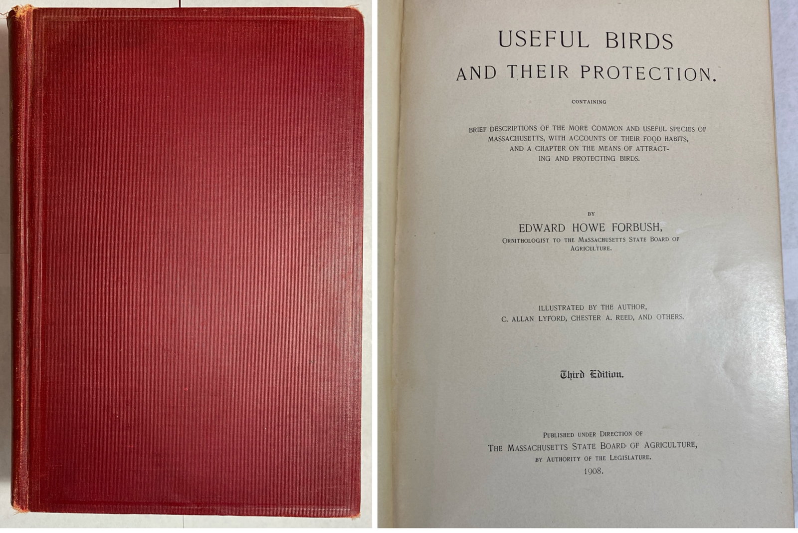 Useful Birds and Their Protection by Edward H. Forbush - 1908 Third Edition - Massachusetts Board of (1 of 10)