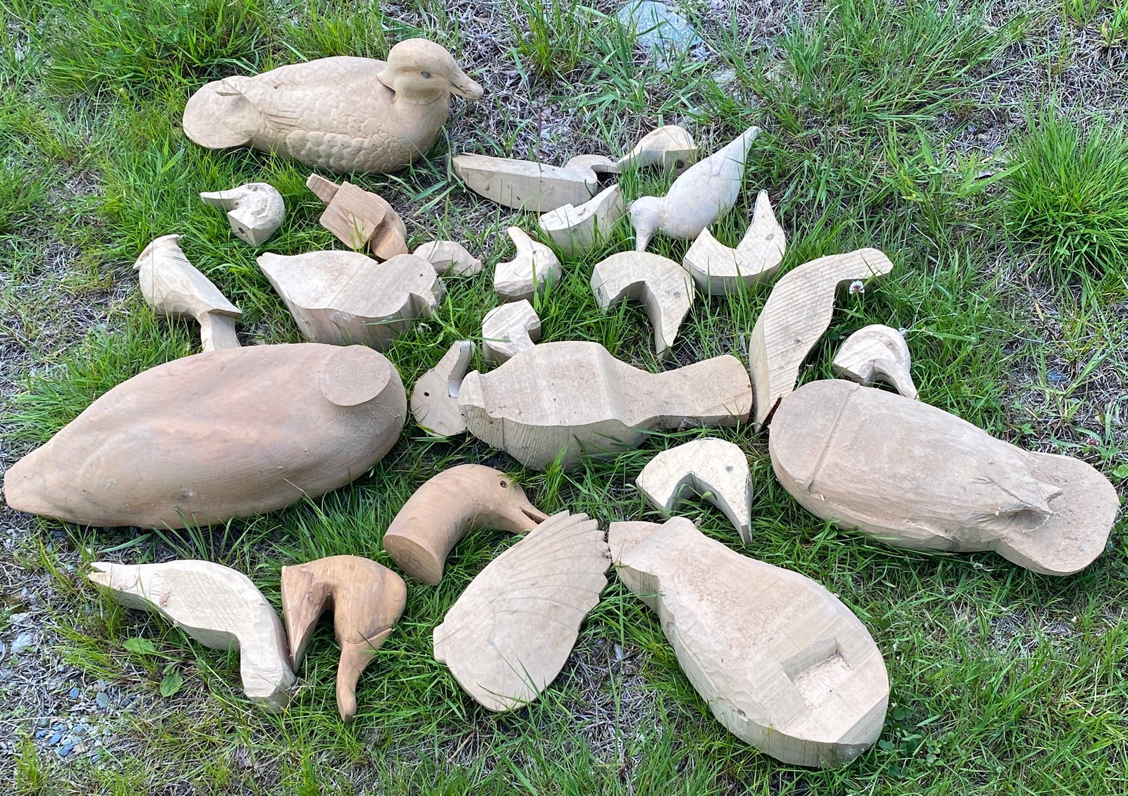 Several Wood Duck Decoys and Duck Decoy Parts - Absolutely NO Shipping (1 of 6)