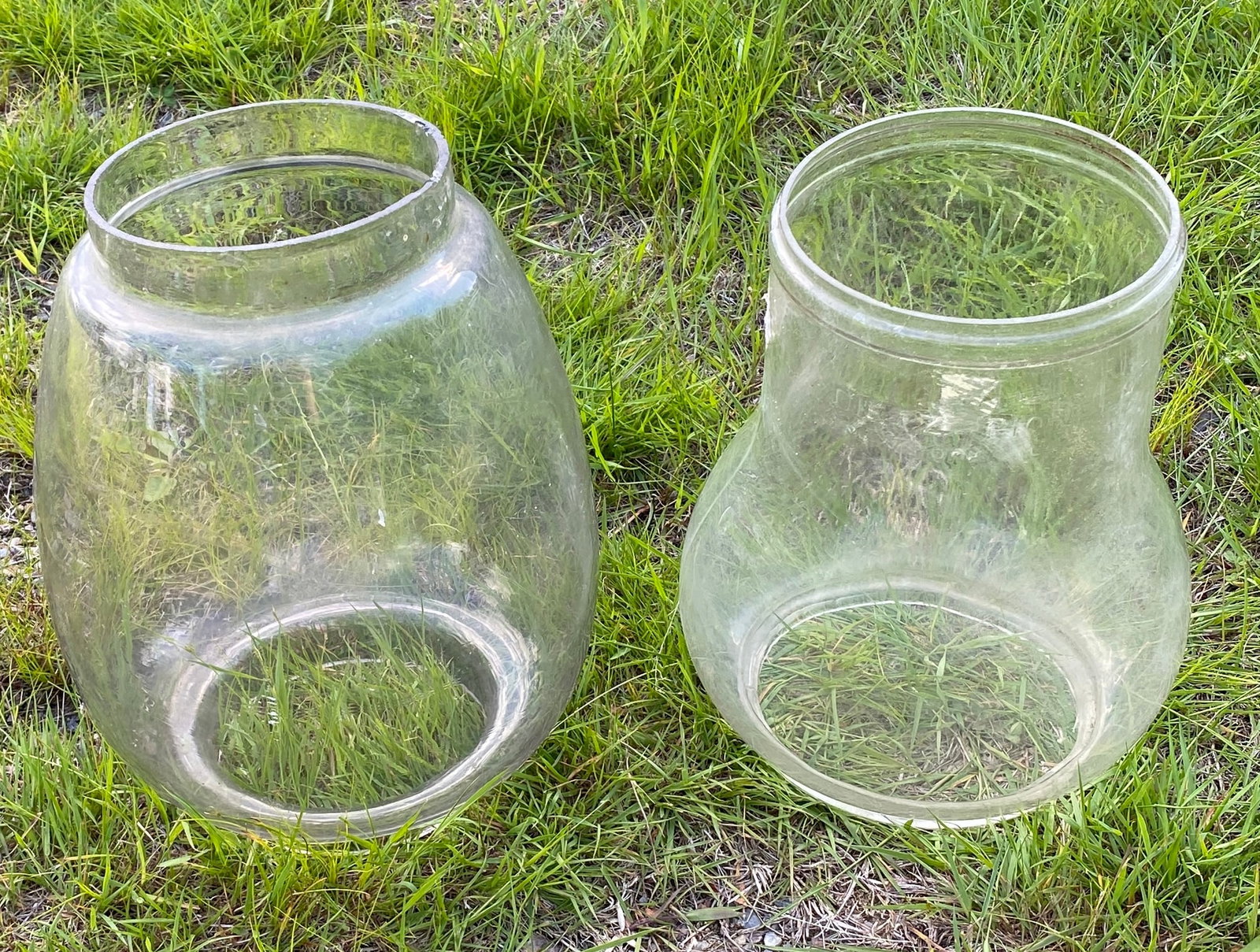 Two Large Glass Oil Lantern Globes - Absolutely NO Shipping (1 of 6)