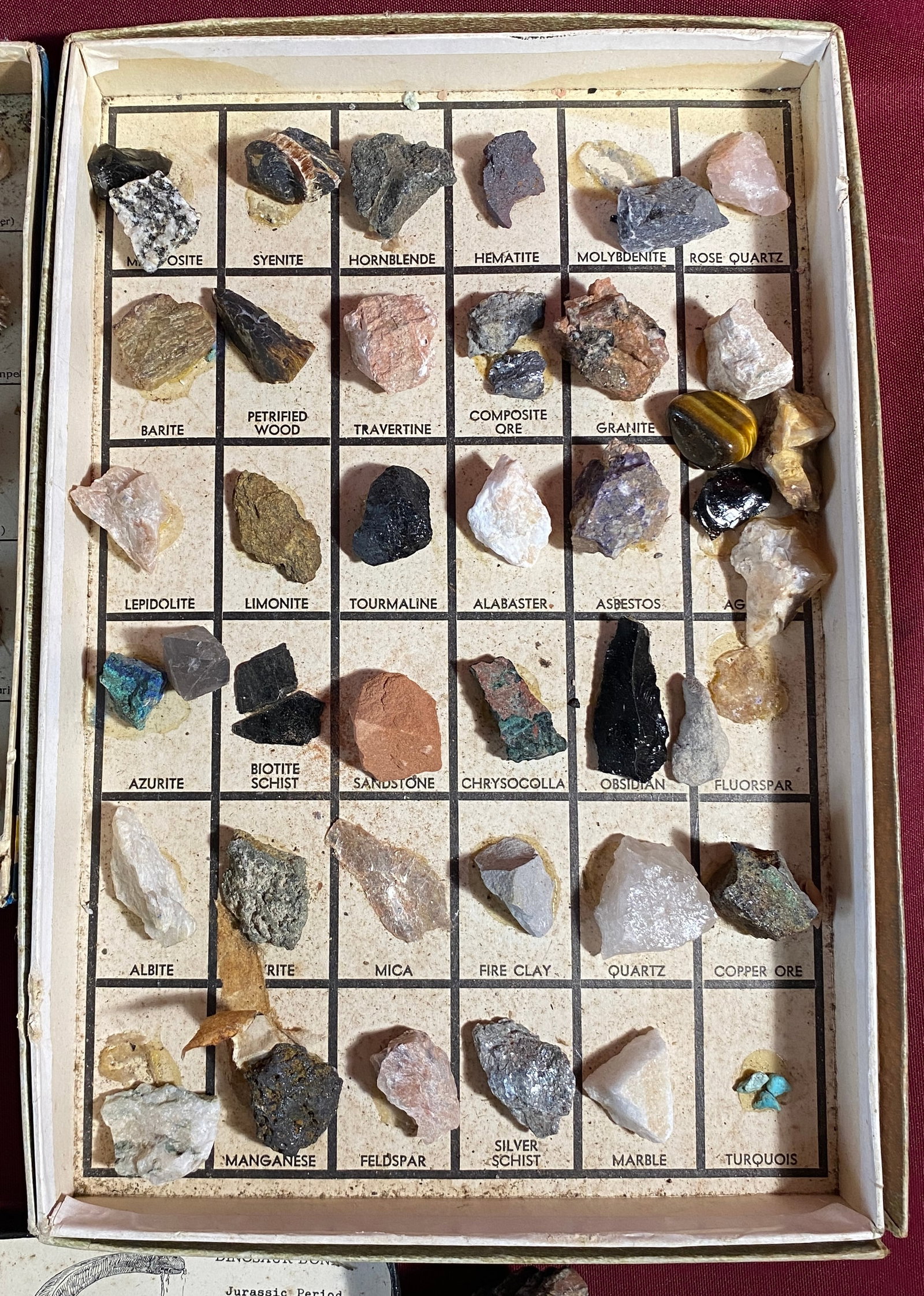 Stone and Shell Specimen Sets - 3