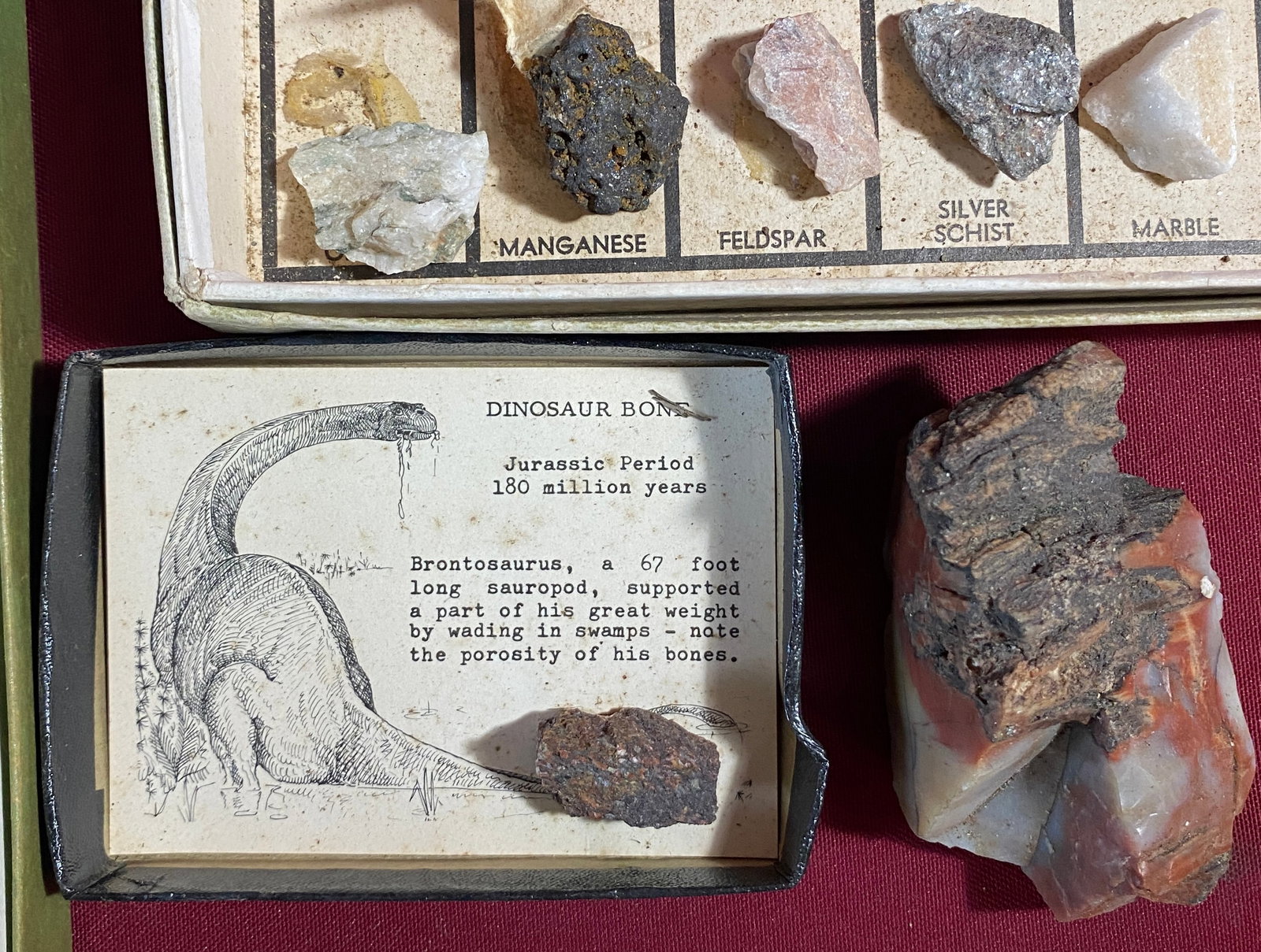 Stone and Shell Specimen Sets - 4