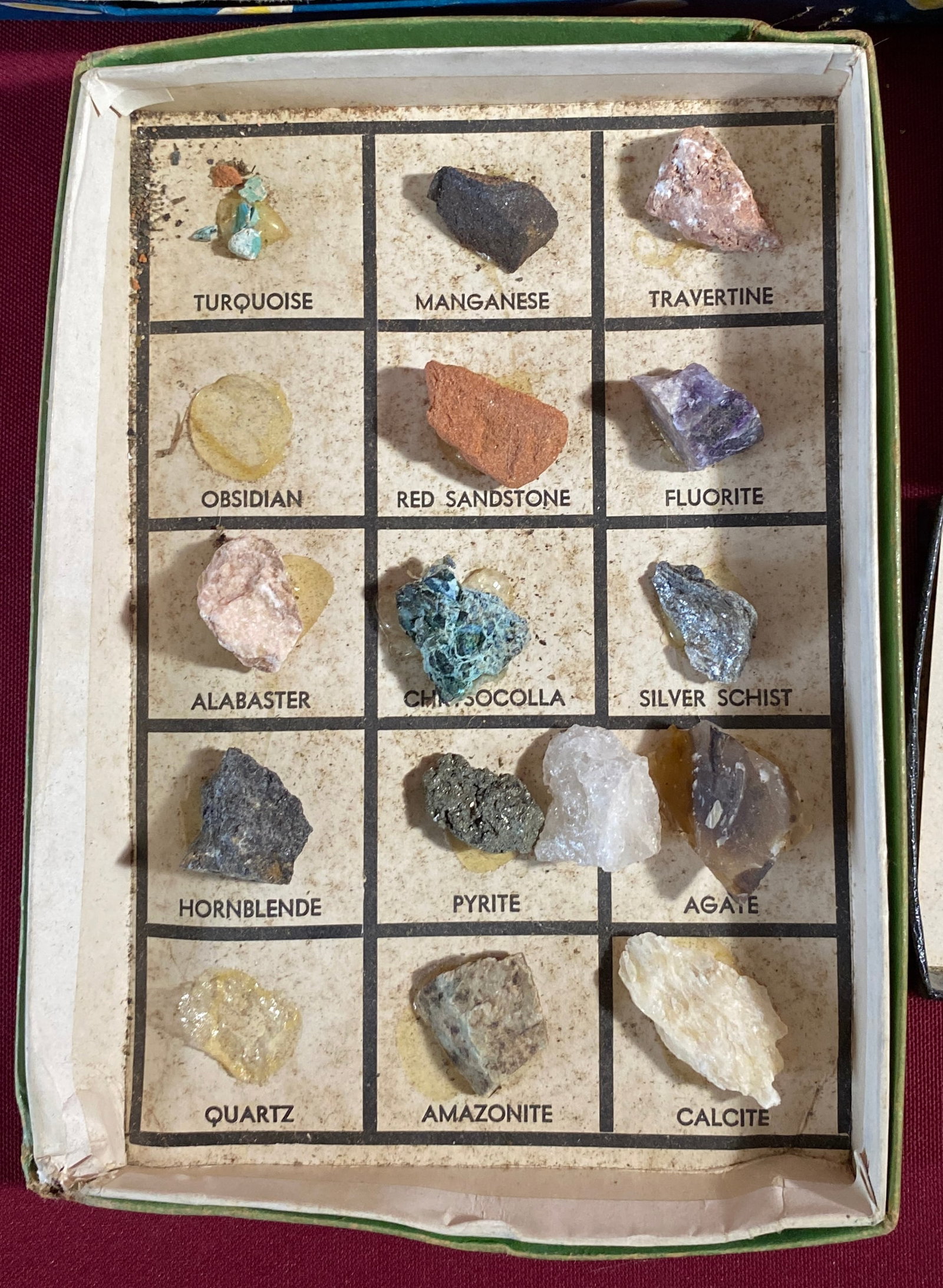 Stone and Shell Specimen Sets - 5