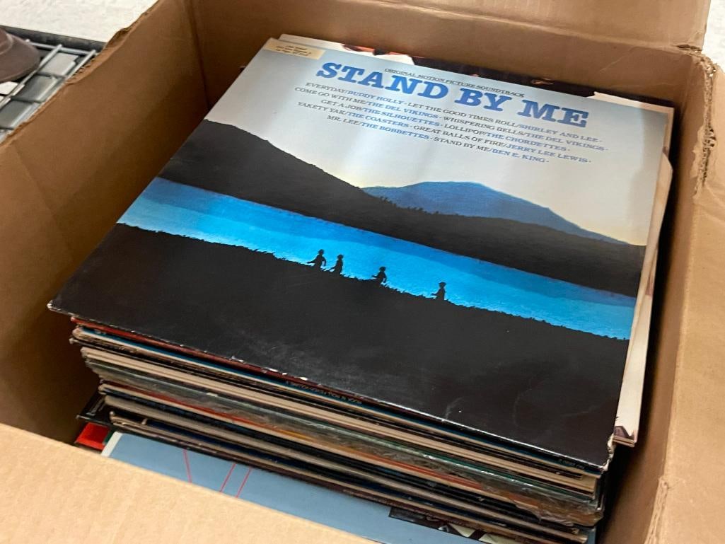 ASSORTED LP VINYL ABUMS JAMES TAYLOR, ALABAMA, WHITNEY HOUSTON, NEAL DIAMOND, BEACH BOYS: ALSO INCLUDES ARETHA, STING, ROY ORBISON, AND MANY OTHERS