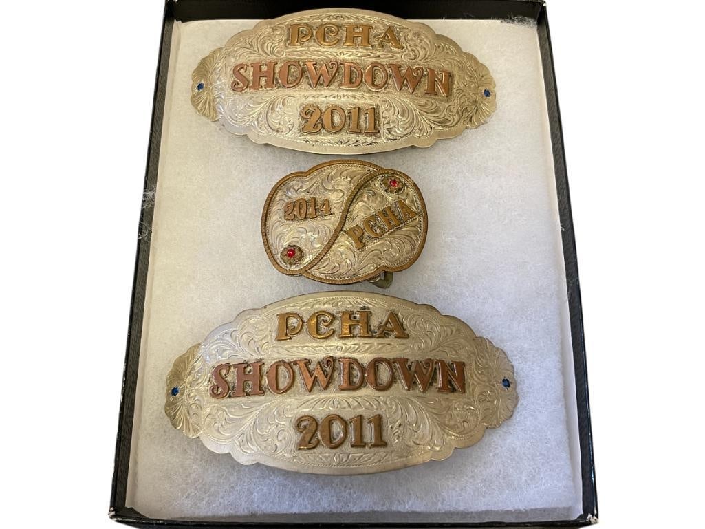 PACIFIC COAST HORSE ASSOCIATION PCHA 2011 AND 2014 ENGRAVED AND BEJEWELED WESTERN BELT BUCKLES (1 of 13)