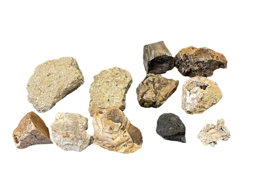 ELEVEN GEOLOGICAL SPECIMEN SAMPLES PETRIFIED WOOD, QUARTZ, FOSSIL ROCK, AND MORE: 2" UP TO 6 3/4"