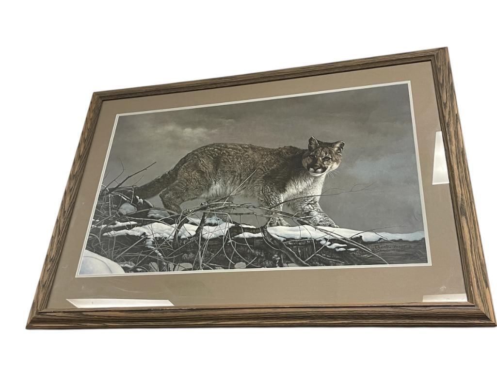 CHARLES FRACE LIMITED EDITION PRINT TITLED AMERICAN MONARCH NO. 2060/3750: (1926-2005) WAS AN AMERICAN WILDLIFE ARTIST WHO'S ART WAS FEATURED IN OVER 500 EXHIBITS, ART DEPICTS A COUGAR LOOKING PREYING, WINTER SCENE, SIGNED LOWER RIGHT, LARGE PRINT PUBLISHED BY AMERICAN