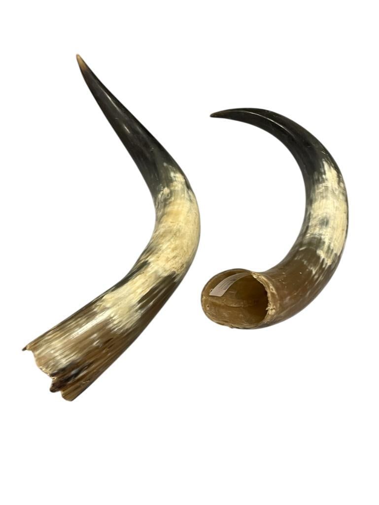 VINTAGE PAIR OF STEER HORNS (1 of 7)