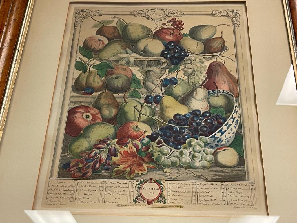 ROBERT FURBER FROM THE SERIES THE TWELVE MONTHS OF FRUITS HAND COLORED ENGRAVING - 3