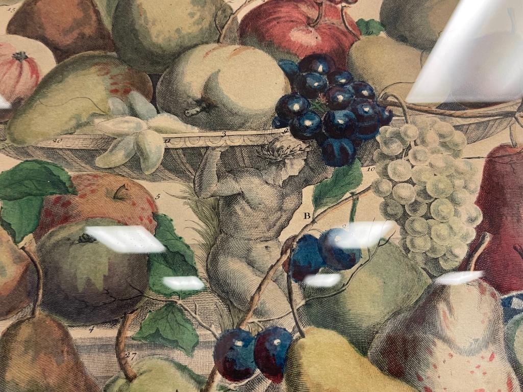 ROBERT FURBER FROM THE SERIES THE TWELVE MONTHS OF FRUITS HAND COLORED ENGRAVING - 5