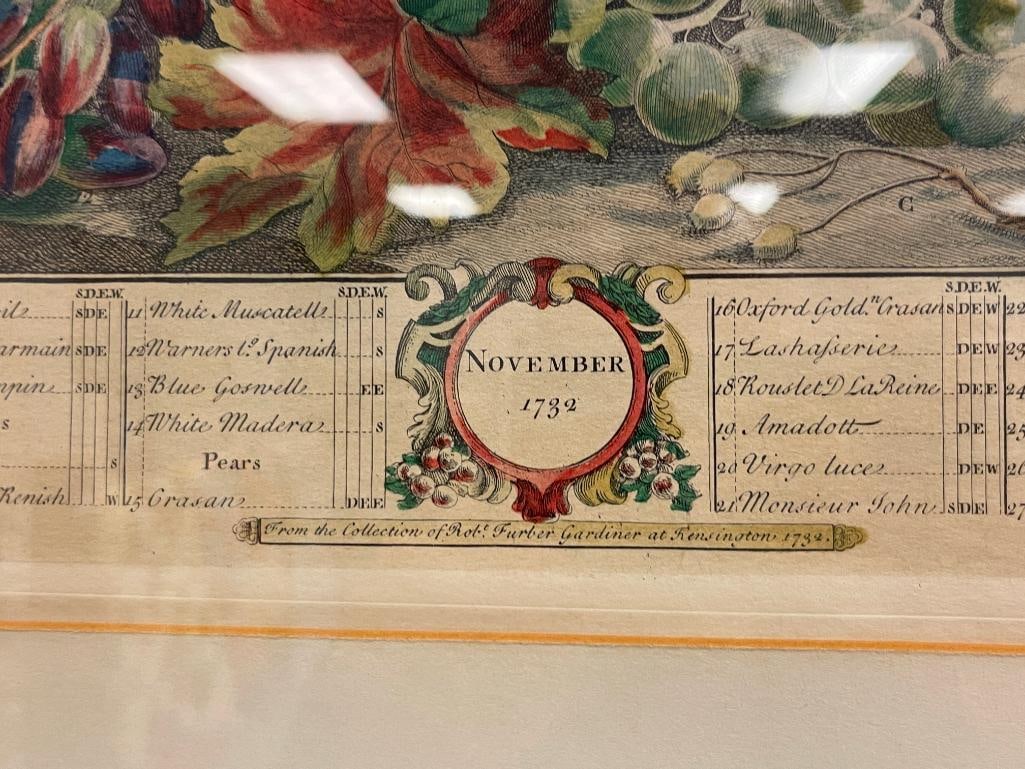 ROBERT FURBER FROM THE SERIES THE TWELVE MONTHS OF FRUITS HAND COLORED ENGRAVING - 6