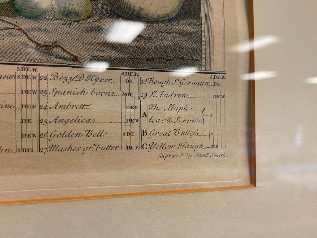 ROBERT FURBER FROM THE SERIES THE TWELVE MONTHS OF FRUITS HAND COLORED ENGRAVING - 7