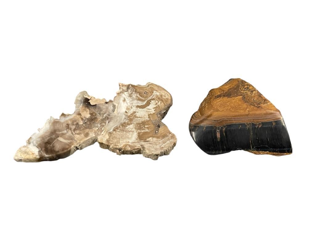 POLISHED PETRIFIED WOOD AND POLISHED TIGERS EYE GEOLOGICAL SPECIMMEN SAMPLES (1 of 8)