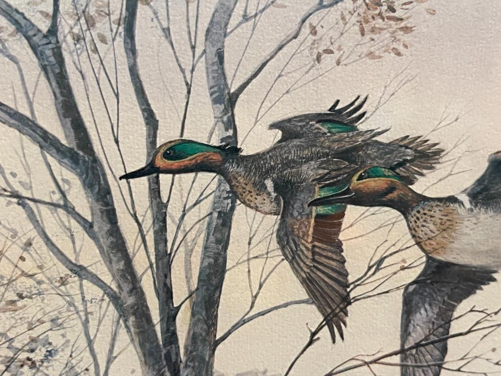 RALPH J. MCDONALD DUCKS UNLIMITED 1991 FLYWAY COLLECTION PRINT TITLED BLIND CORNER NO. 918/5300 - 3