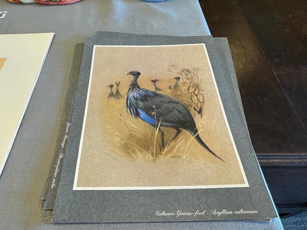 SET OF FIVE RENA FENNESSY EAST AFRICAN BIRD PRINTS FEATURING GREAT COLOR - 2