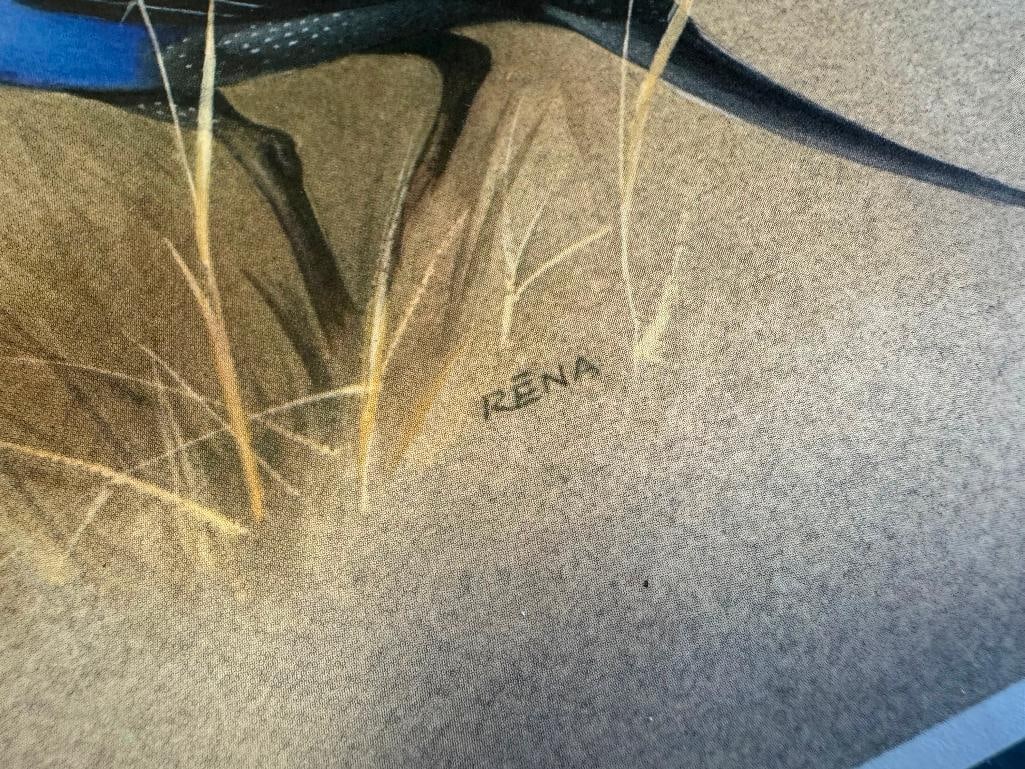 SET OF FIVE RENA FENNESSY EAST AFRICAN BIRD PRINTS FEATURING GREAT COLOR - 3