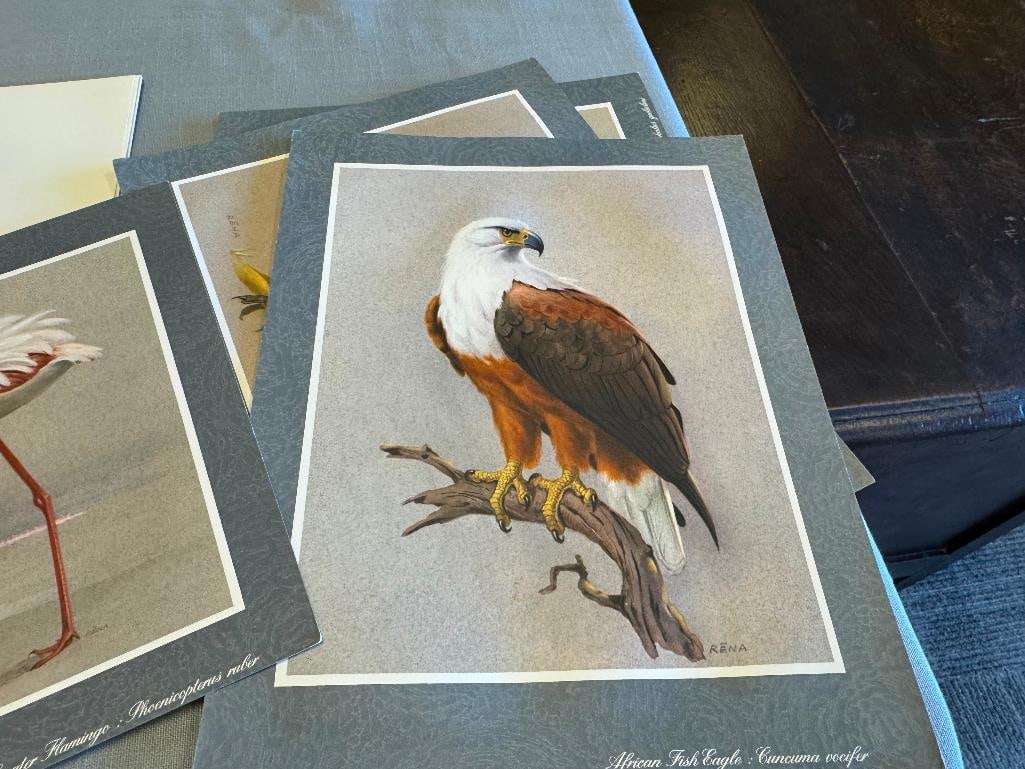 SET OF FIVE RENA FENNESSY EAST AFRICAN BIRD PRINTS FEATURING GREAT COLOR - 7