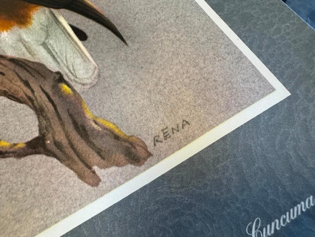 SET OF FIVE RENA FENNESSY EAST AFRICAN BIRD PRINTS FEATURING GREAT COLOR - 8