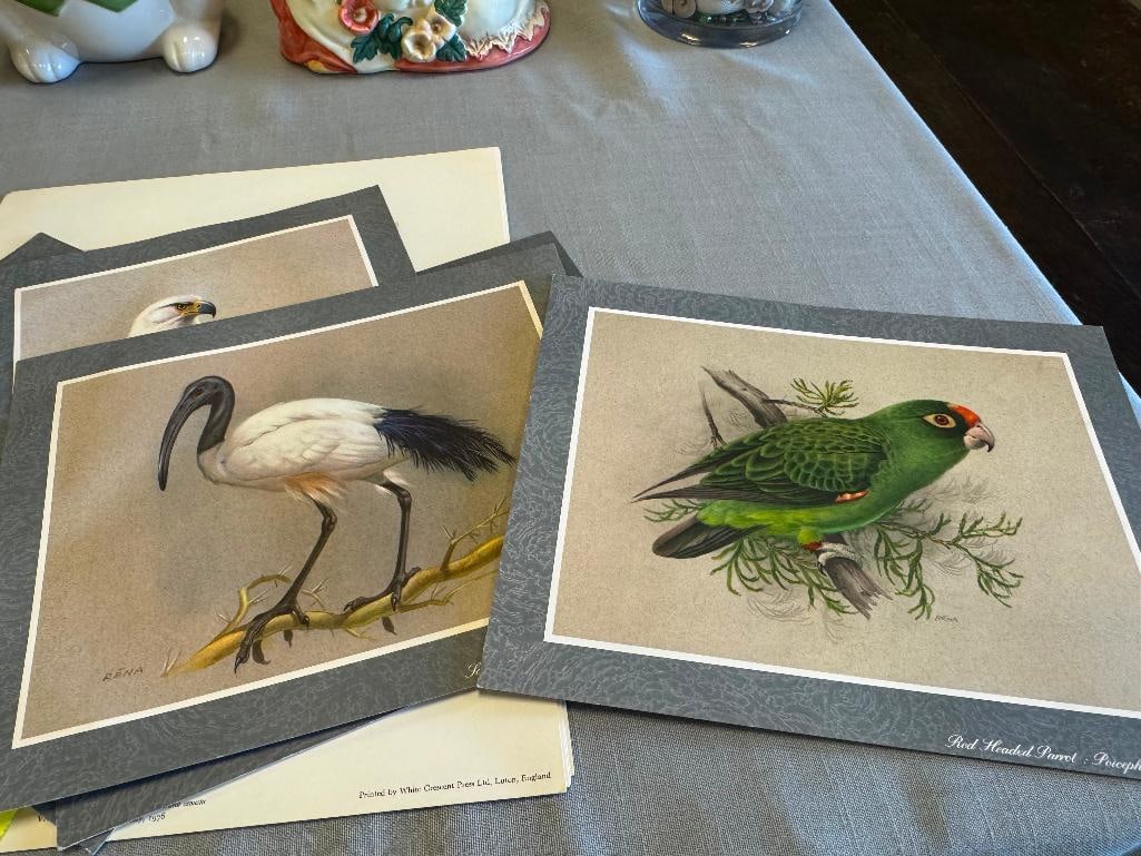 SET OF FIVE RENA FENNESSY EAST AFRICAN BIRD PRINTS FEATURING GREAT COLOR - 9