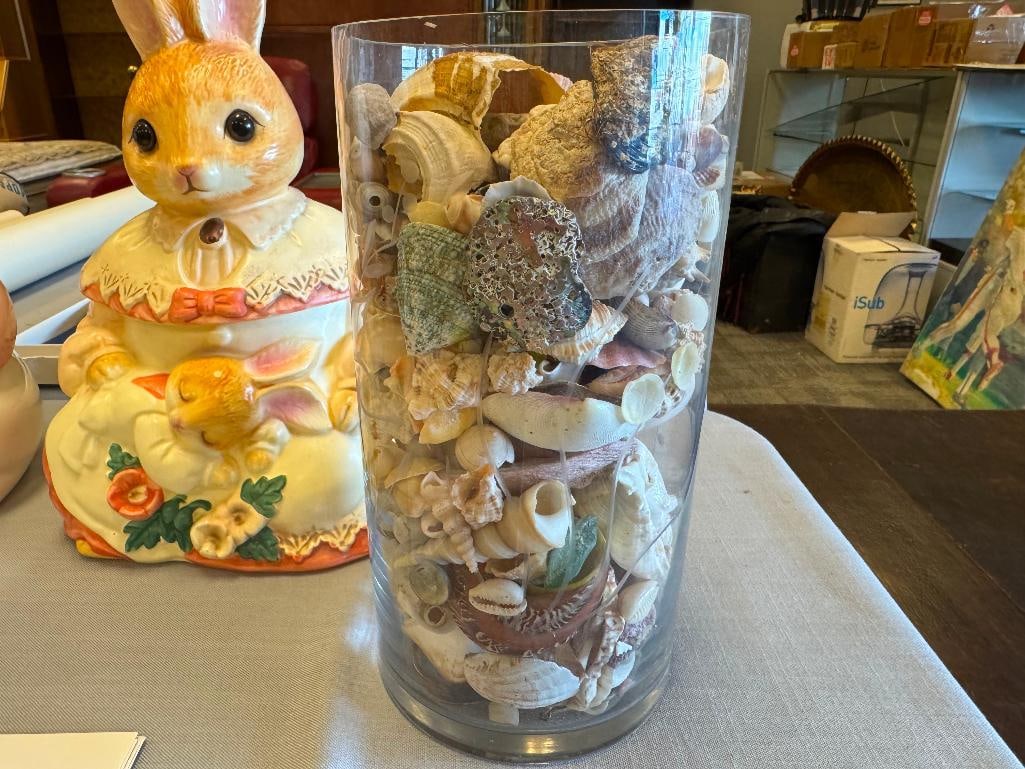 CYLINDRICAL GLASS VASE FILLED WITH VARIOUS SEASHELLS - 3