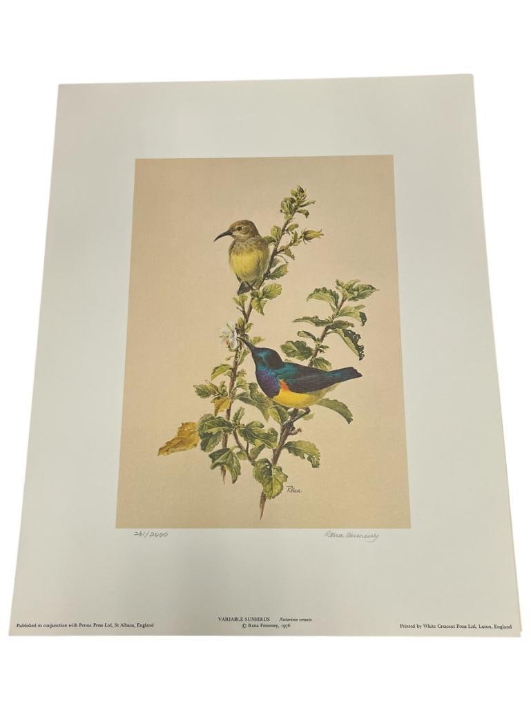 FOUR RENA FENNESSY COLOR SIGNED AND NUMBERED PRINTS FEATURING EAST AFRICAN BIRDS: EACH IS SIGNED AND NUMBERED, 1976, PUBLISHED BY WHITE CRESCENT PRESS LTD OF ENGLAND 12 1/2" X 15 1/2" 