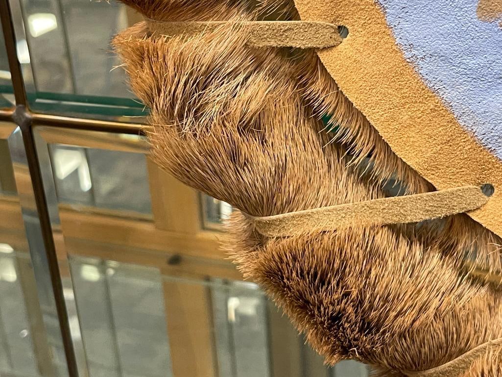 ORIGINAL OIL PAINTING ON DEER HIDE BY NAVAJO ARTIST JIMMY YELLOWHAIR OF WHITE ALBINO BUFFALO - 5