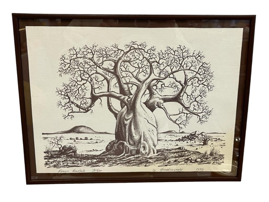 K. HARRINGRON LIMITED EDITION PRINT OF AFRICAN BAOBAB TREE TREE OF LIFE NATIVE TO AFRICAN CONTINENT: ART ILLUSTRATES AFRICAN BAOBOB TREE CIRCA 1979 NO. 15/250, SIGNED LOWER LEFT, FRAMED 16" X 12 1/2" FRAME 