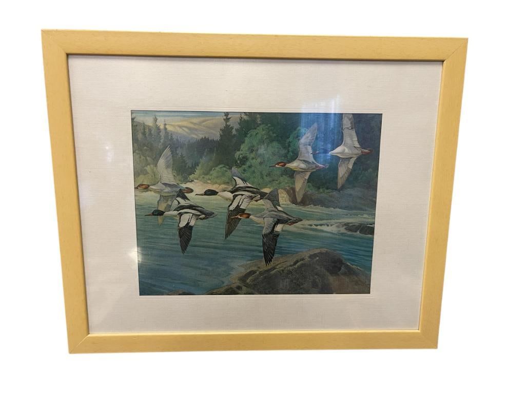 PRINTOF A FLOCK OF MALLARD DUCKS (1 of 6)