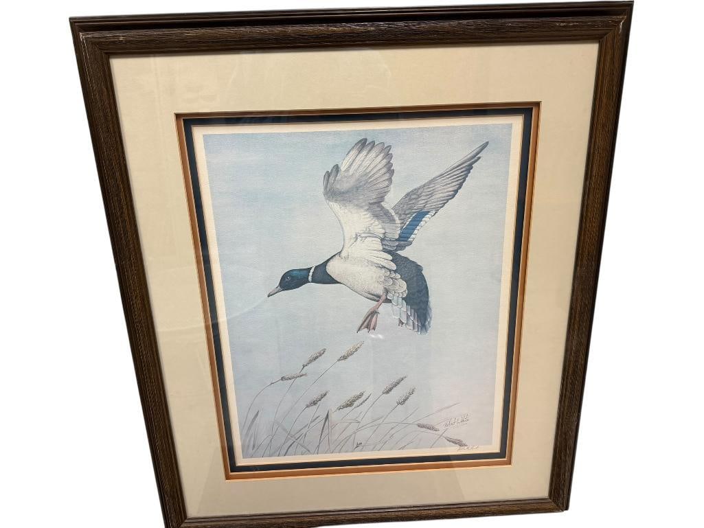 ROBERT WHITE SIGNED " MALLARD " PRINT (1 of 7)