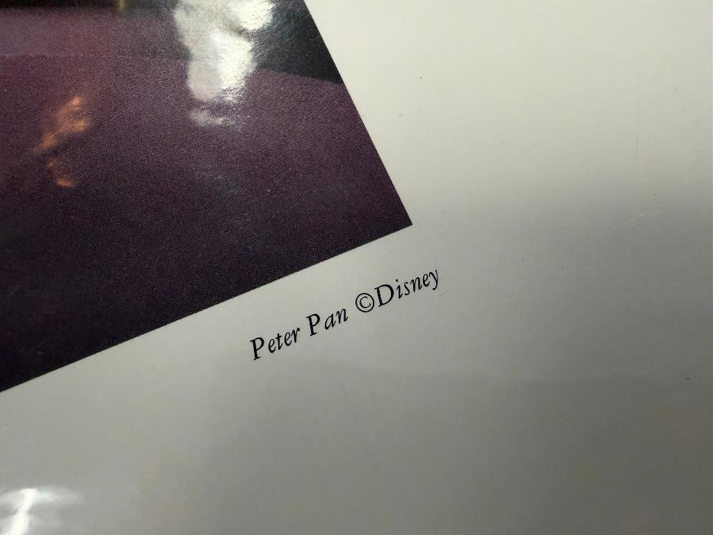 DISNEY CHARACTER TINKERBELL PRINT TITLED PREENING PIXIE - 5