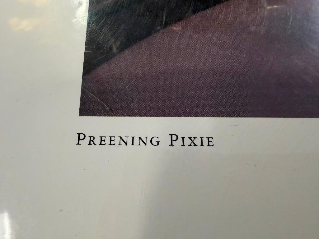 DISNEY CHARACTER TINKERBELL PRINT TITLED PREENING PIXIE - 8