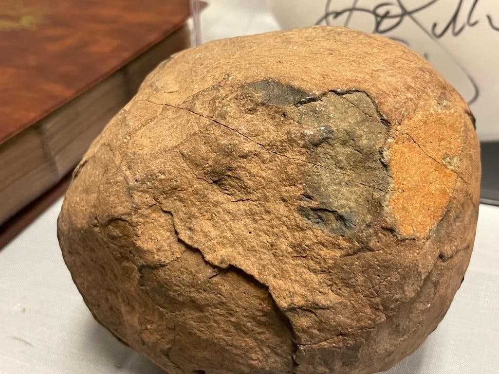 SEPTARIAN NODULE / DINOSAUR EGG GEOLOGICAL SPECIMEN NATURAL, UNCUT 12 POUNDS - 5